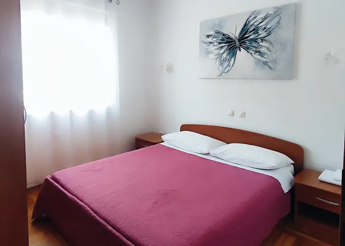 Ravkin * Zadar
