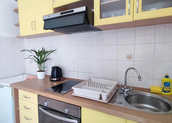 Apartment Ravkin