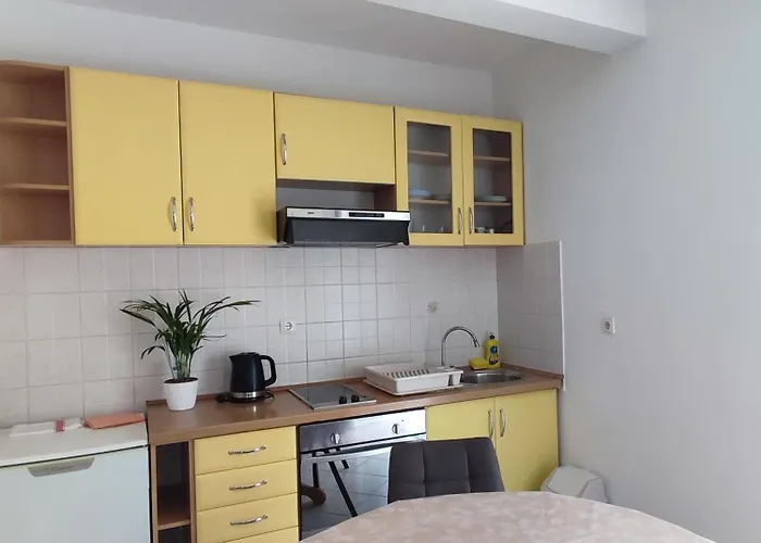 Ravkin Apartment *