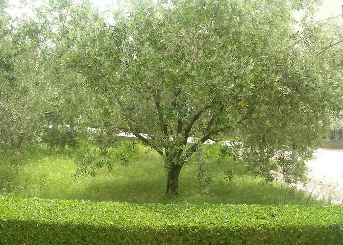 アパート Ravkin *